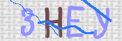 Image Anti-spam