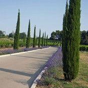 espaces-verts-coquillade-01