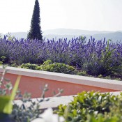 espaces-verts-coquillade-04