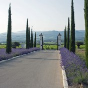 espaces-verts-coquillade-14